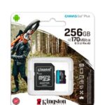 MICROSDXC CANVAS GOPLUS 256GB