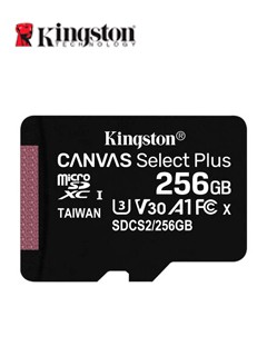 29918.jpg MICRO SD KING CANVAS 256G - Imagen 1